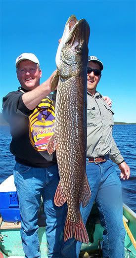 pike.jpg