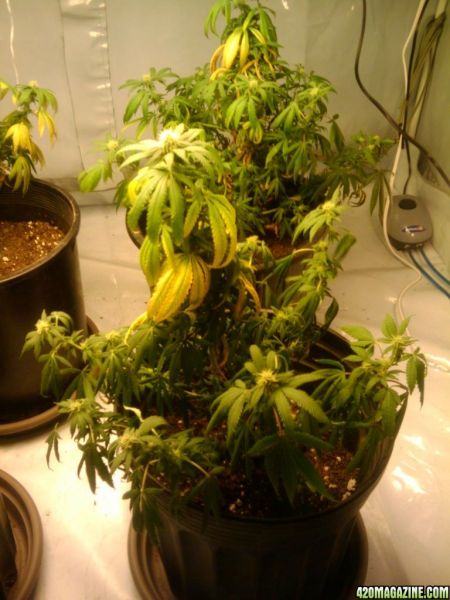 2009-10-25_21_15_07.jpg