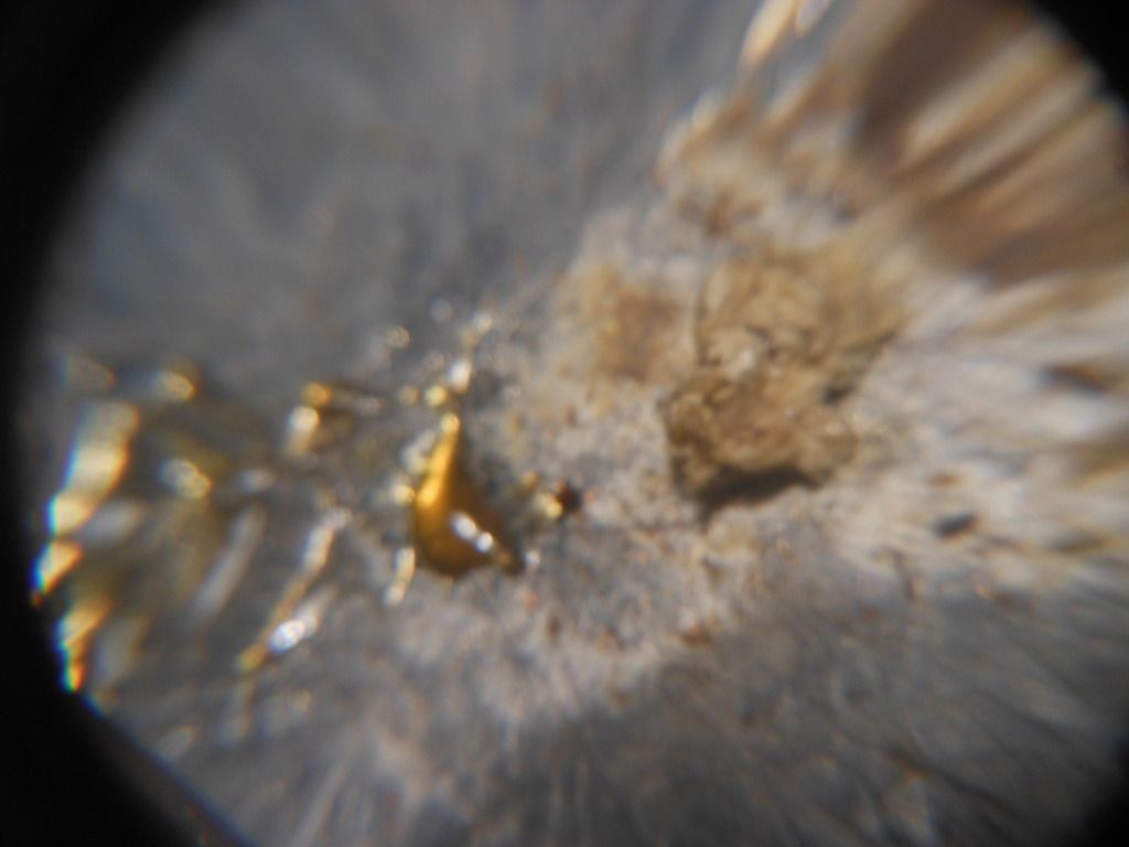 DSCN0144.jpg