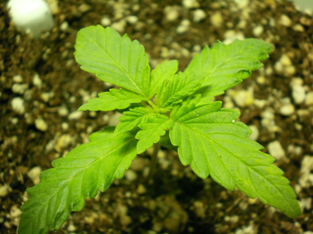 10-12-11003.jpg
