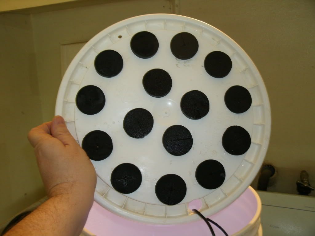 GEDC0013.jpg