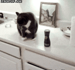 gifs_14.gif