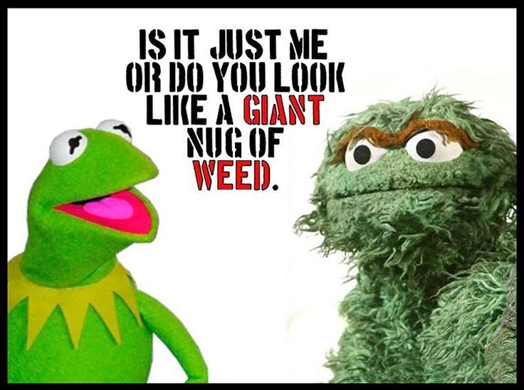 68248-Kermit-And-Oscar.jpg