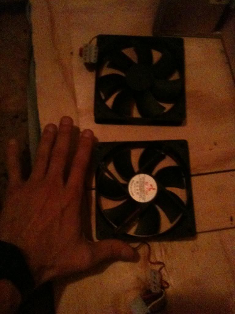 Picture003.jpg