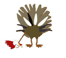 gobbles.gif