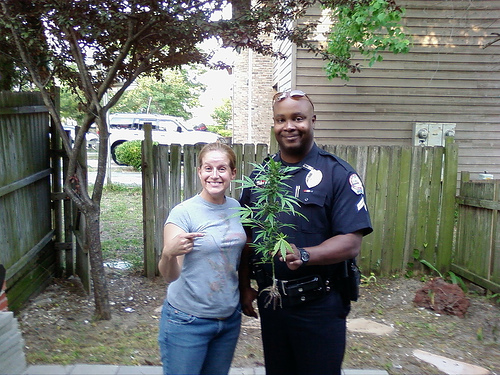 marijuana-plant.jpg