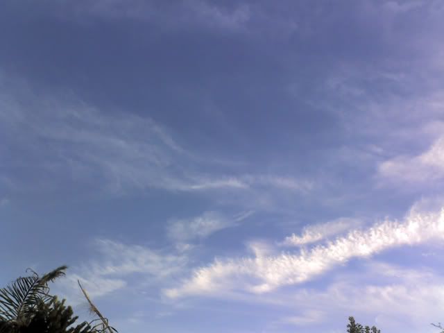 12-11-08_1626.jpg