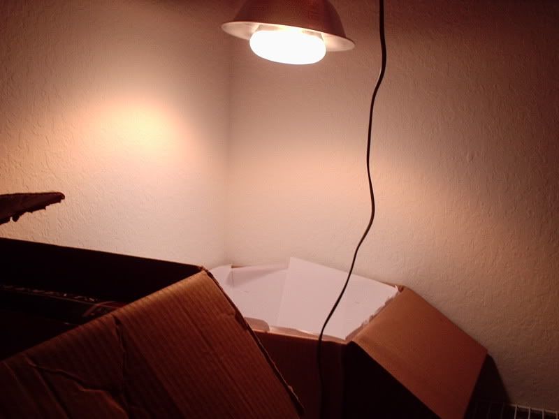 P6020025.jpg