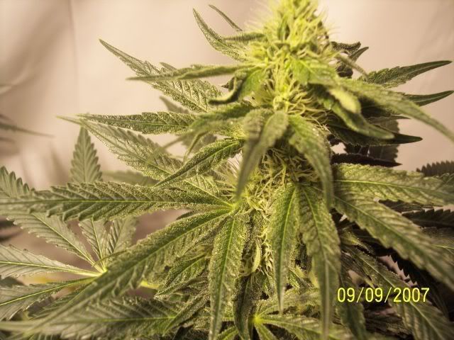 29days012.jpg