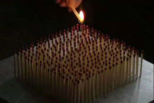 tumblr_mvjadlsDmq1sood4yo1_500.gif