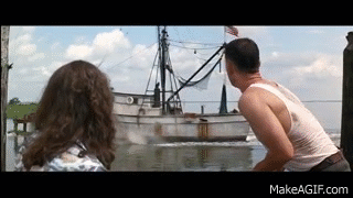 mVrp6l.gif