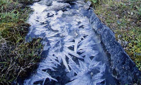 arctic460x276.jpg