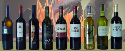 bodegon2006.jpg