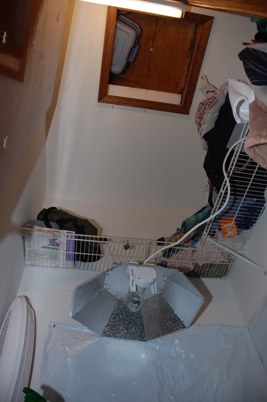DSC_0210.jpg