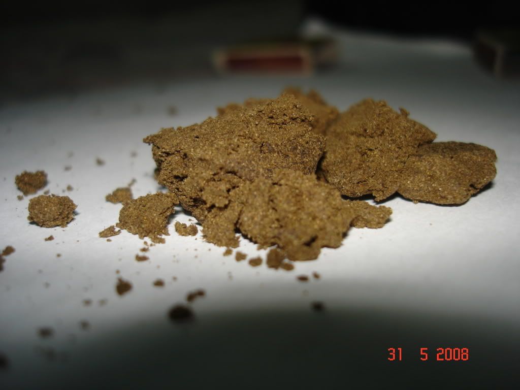 DSC07316.jpg