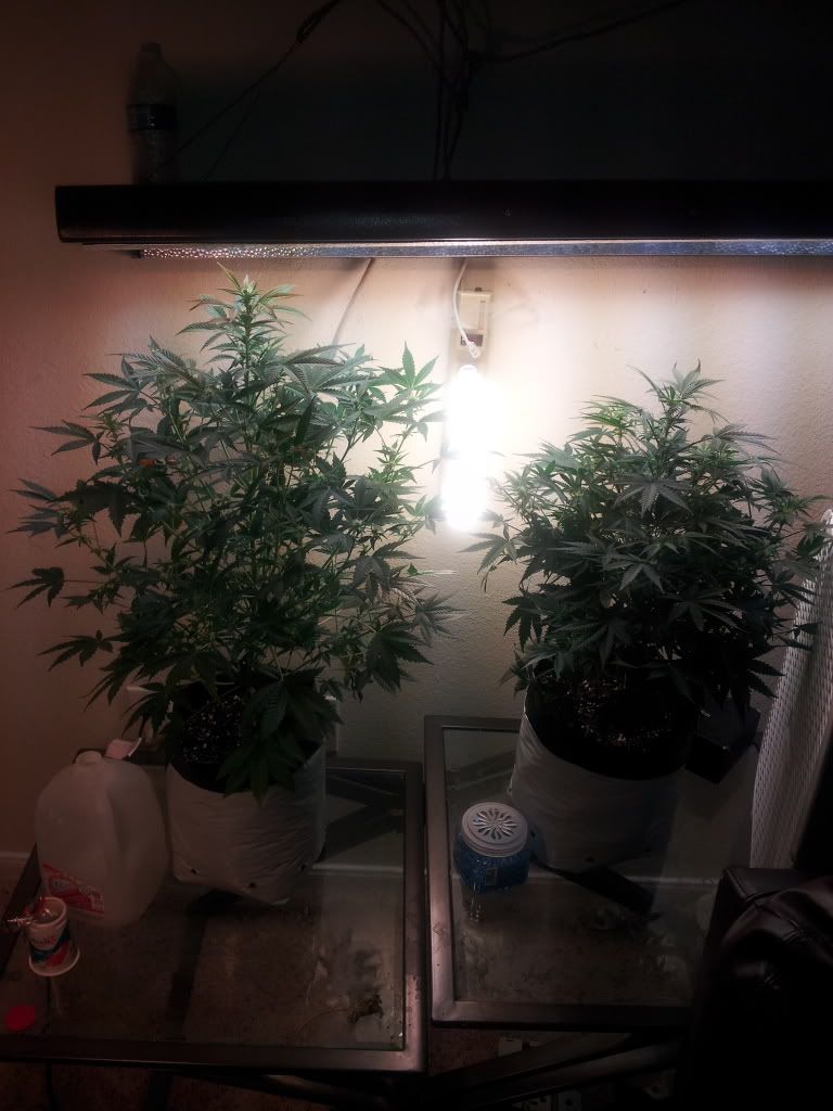 20130101_094646.jpg