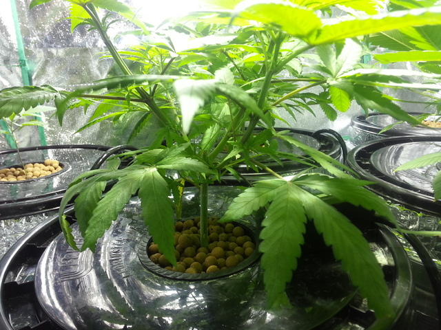 20130120_043139.jpg