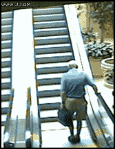 gifs_08.gif