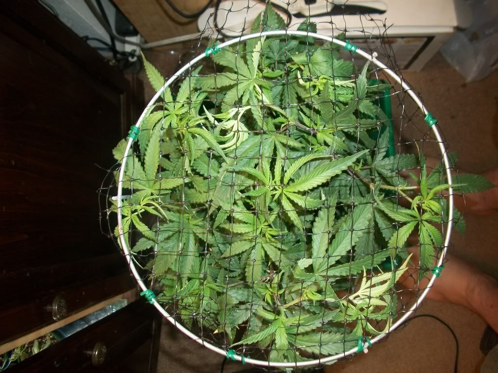 9-4-11010.jpg