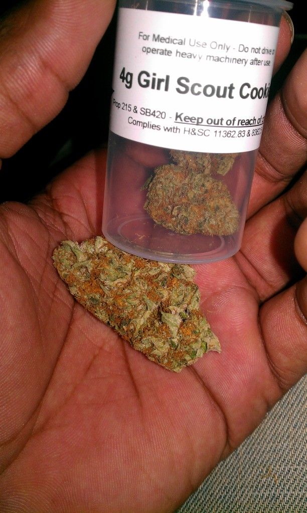 IMAG0376.jpg
