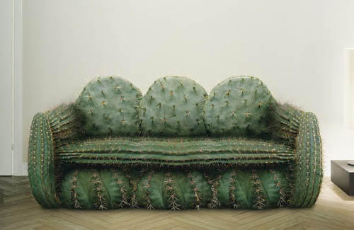 cactus-couch.jpg