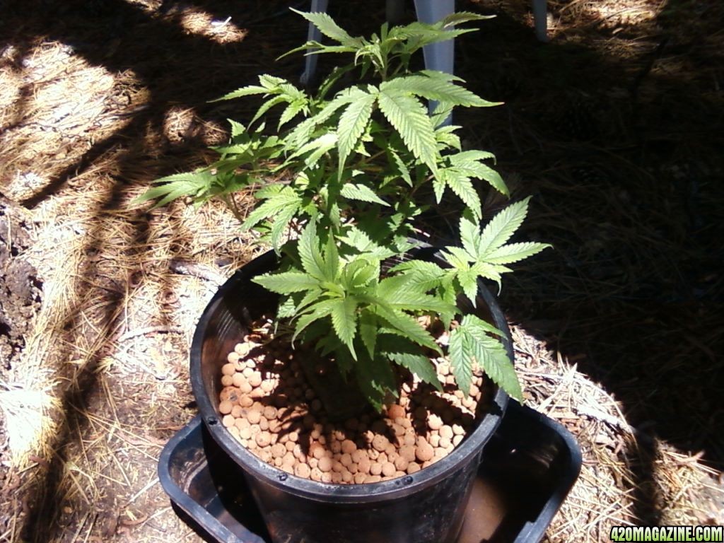 0809111116.jpg