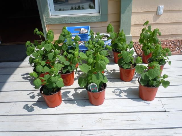 DSCN0727.jpg