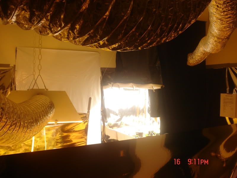 Picture039-6.jpg