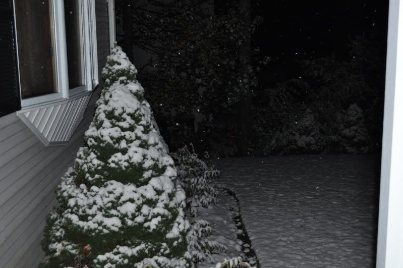 october15to16snow008.jpg