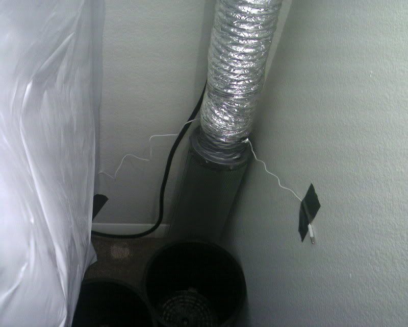 Photo-0175.jpg
