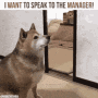 tenor.gif