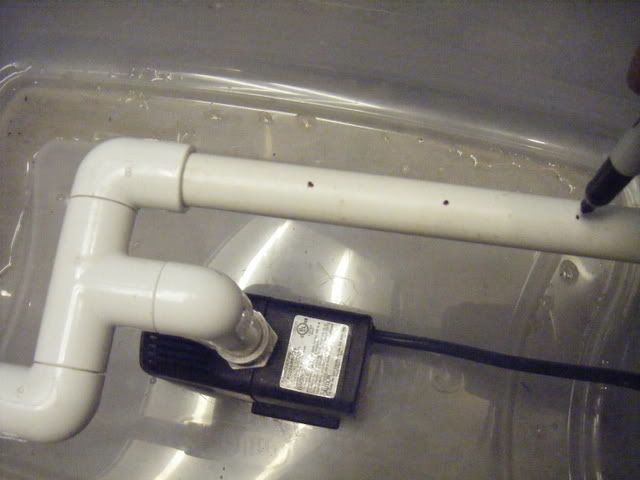 DSCF1708.jpg