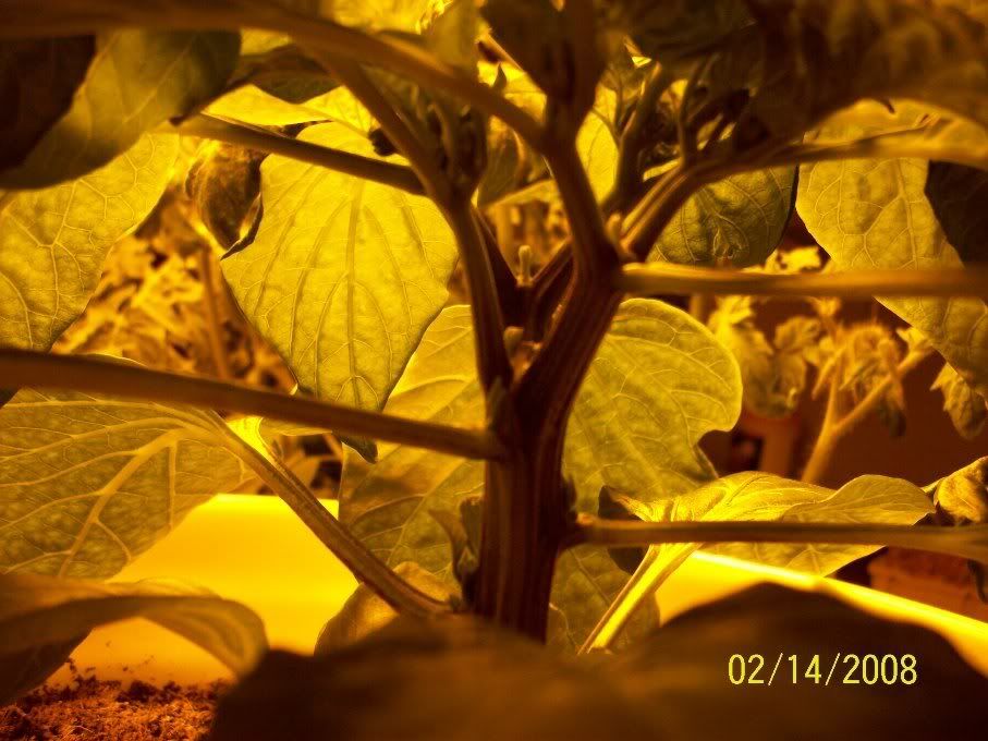 100_0105.jpg