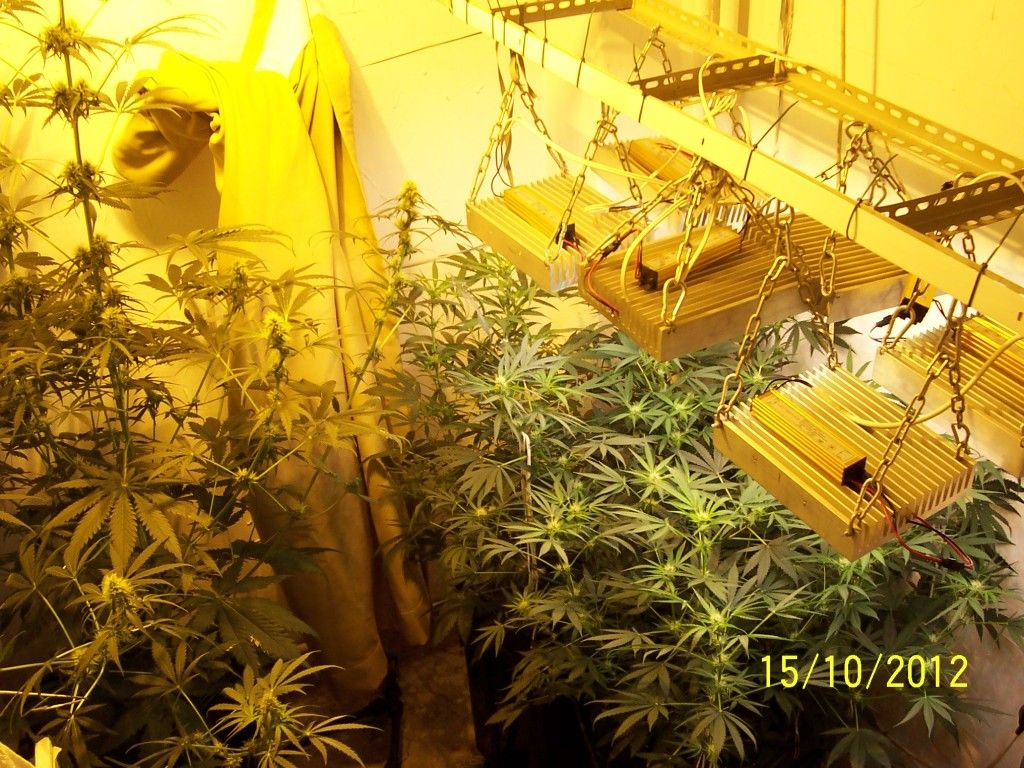 100_2764.jpg