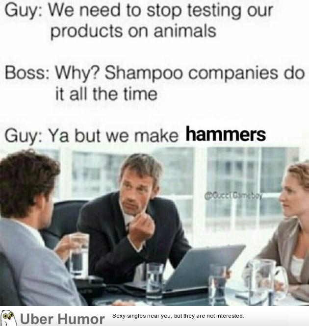 h61qqj5ni7ez.jpg