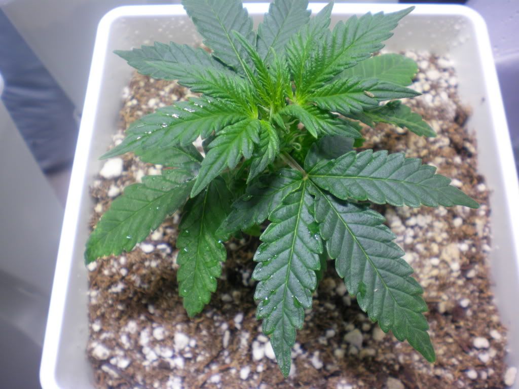 10-17-11002.jpg