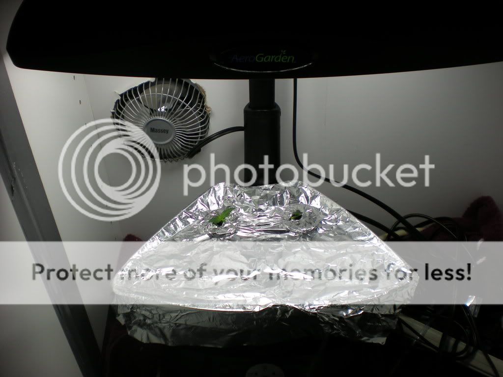 DSCN0185.jpg