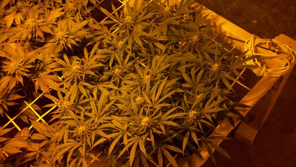 2012-02-03_19-16-29_95.jpg