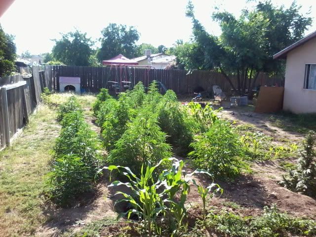 120522_006-1.jpg
