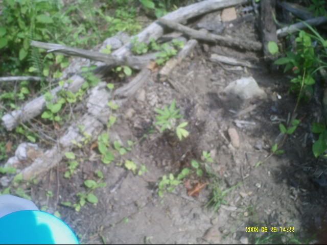 PICT0002-1.jpg