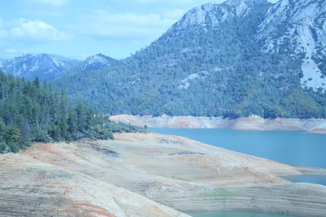 shasta.jpg