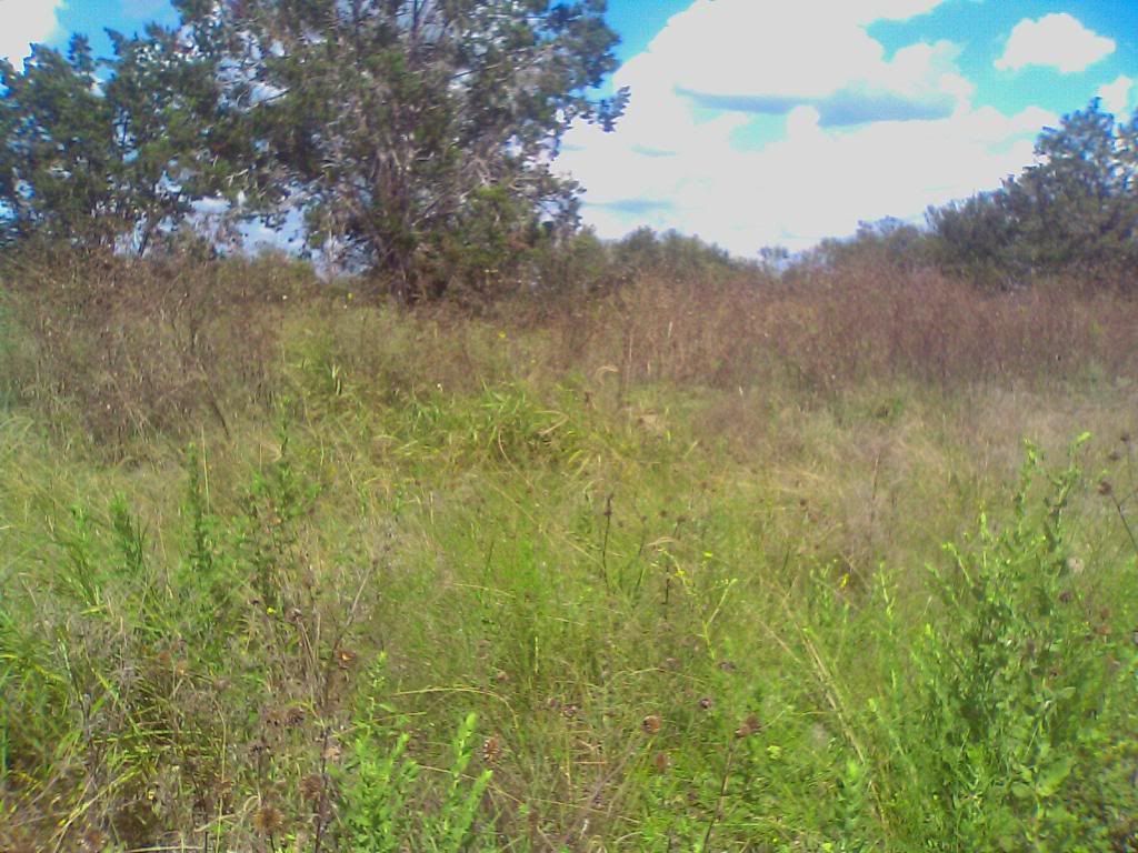 img1281477091179.jpg
