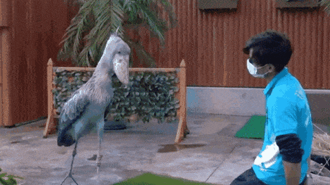 gifs_04.gif