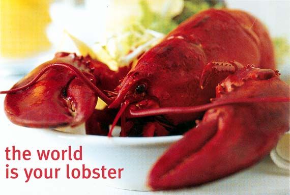 lobster.jpg