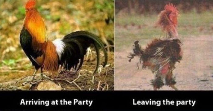 acid_picdump_104.jpg