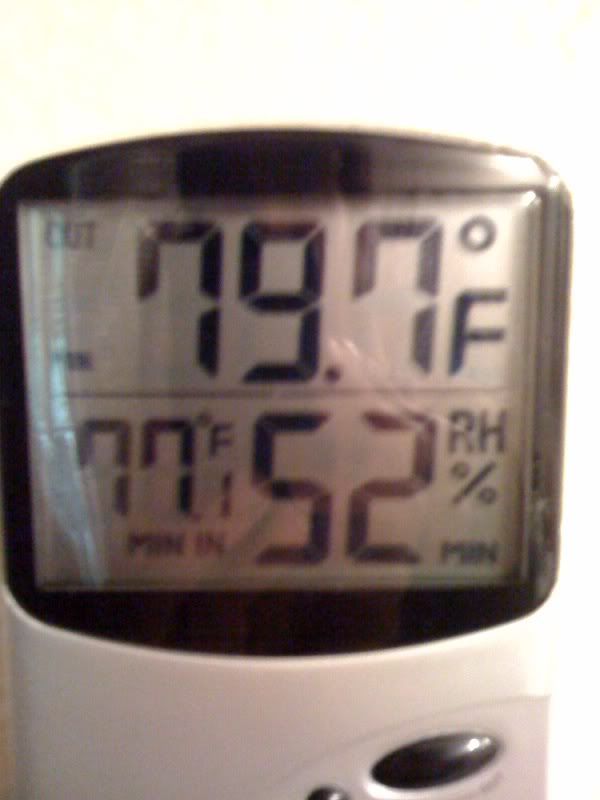 temp.jpg