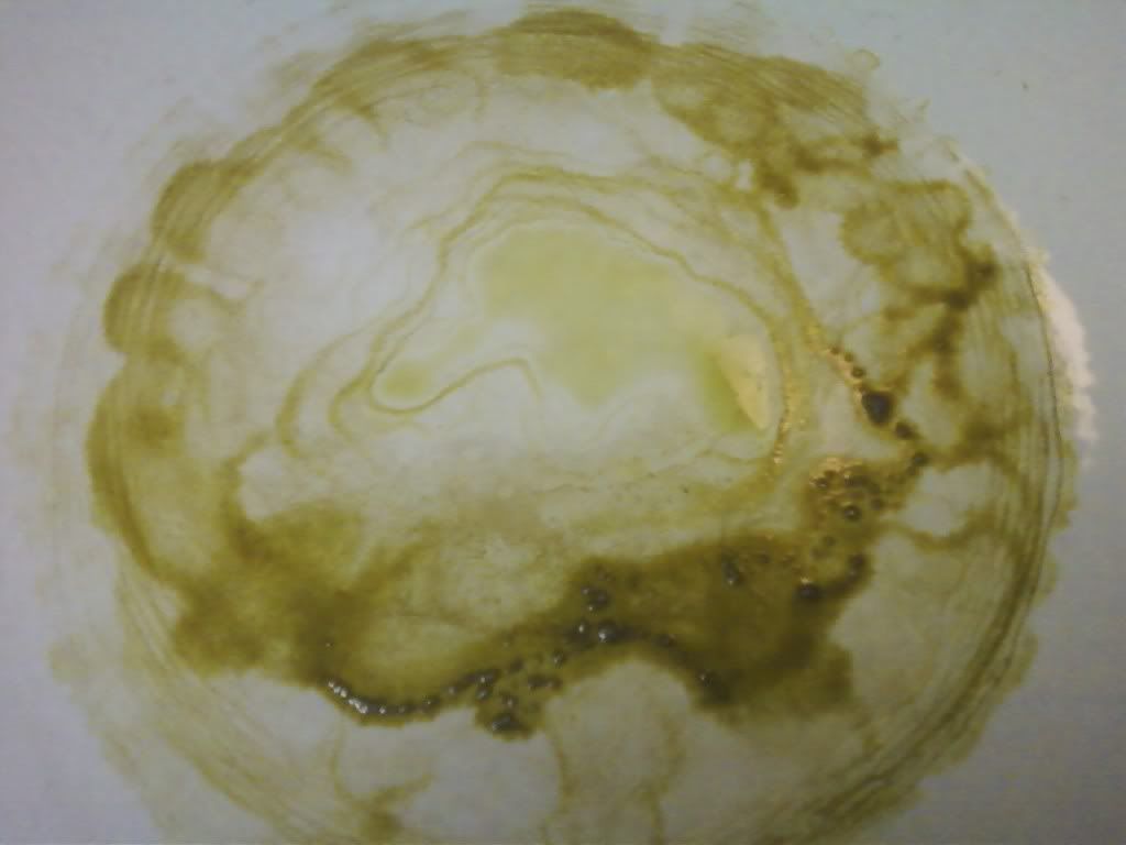 image-54.jpg