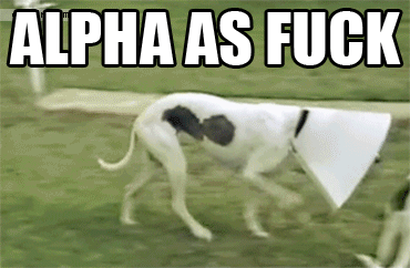 L9Irt3R.gif