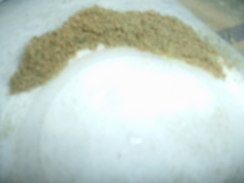 Kief2002.jpg