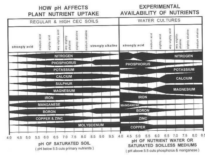 9652Nutrient-Uptake-and-pH.jpg